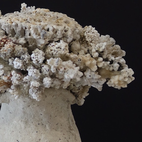 Bouquet flou