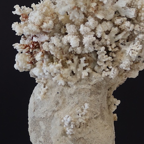Bouquet maritime