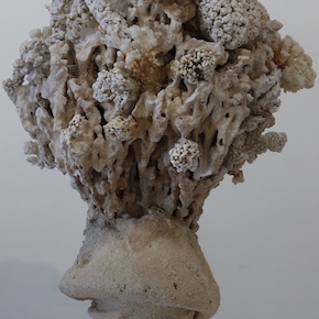 Nature morte