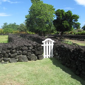 Pacifique palissade